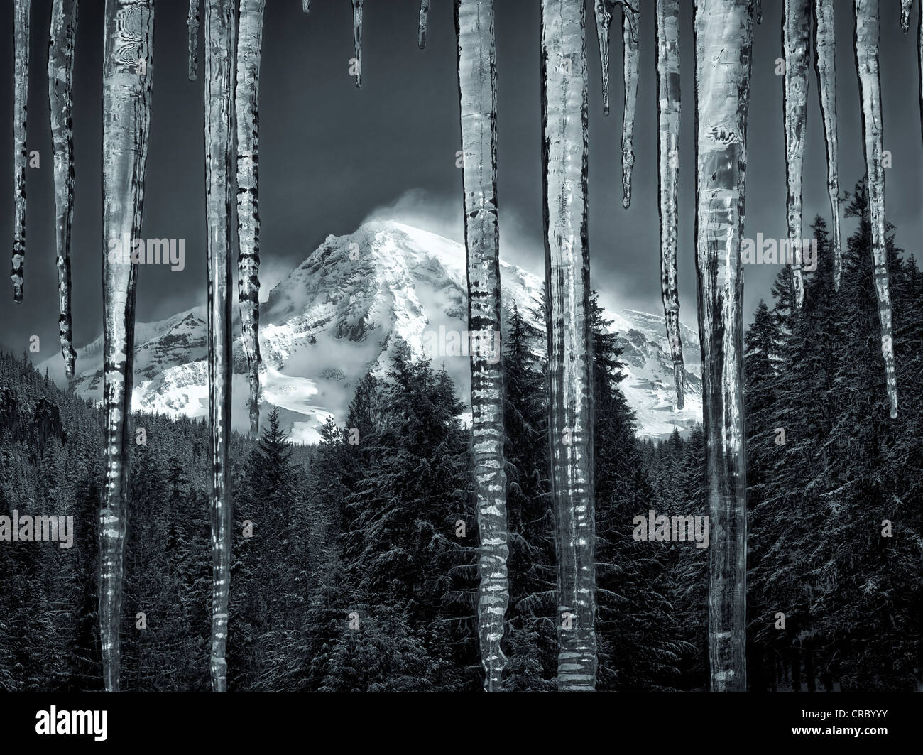 Les glaçons et Mt. Rainier. Mt. Rainier National Park, Washington Banque D'Images