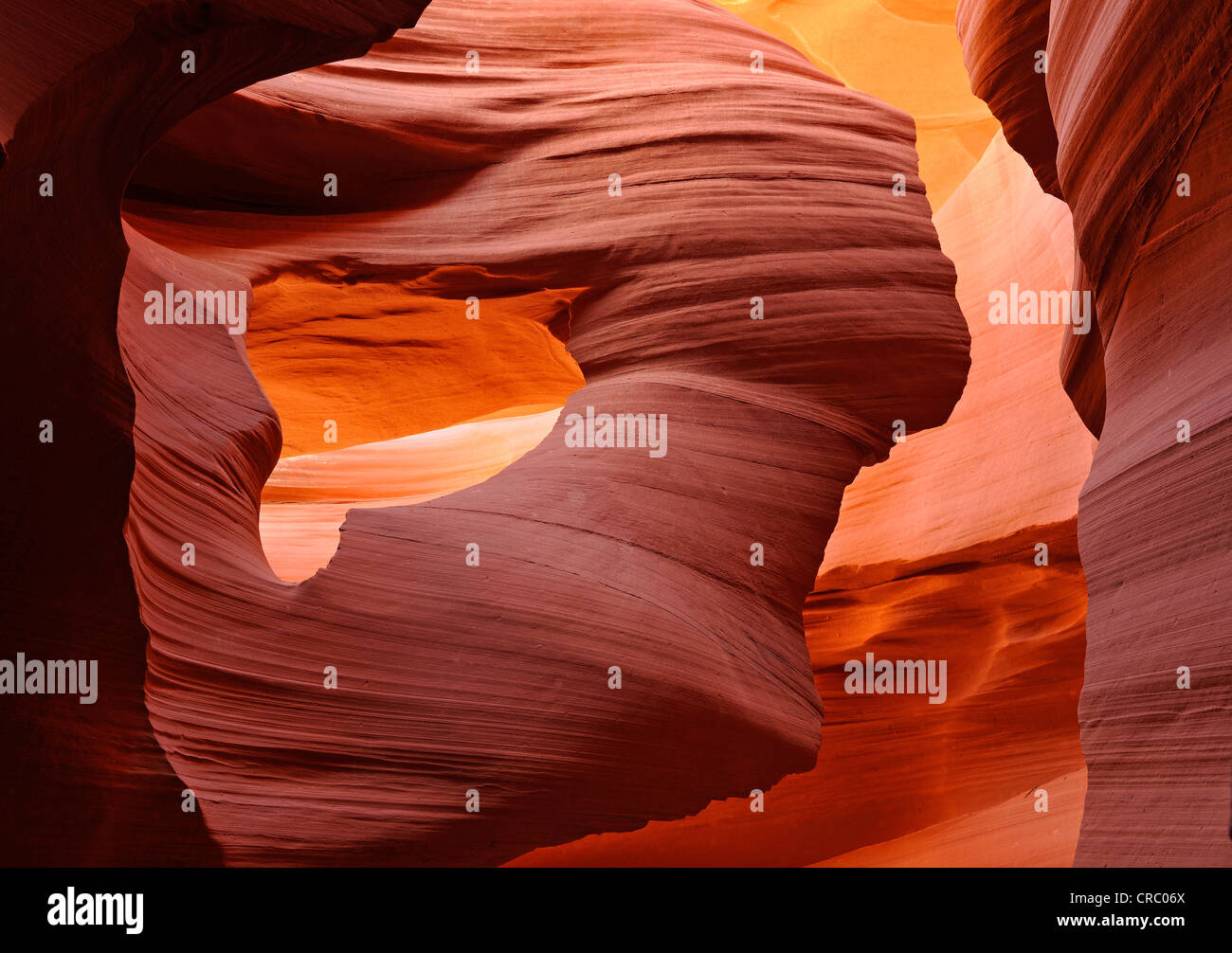 Rock formation dame dans le vent, le grès rouge de la formation de Moenkopi, formations rocheuses, de couleurs et de textures dans le bas Banque D'Images