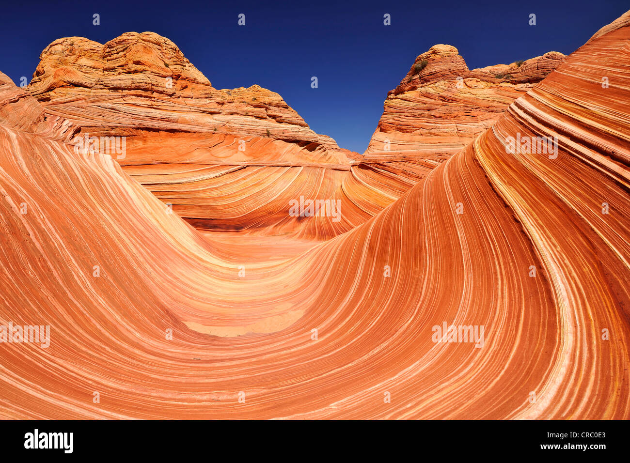 La Vague formation de grès érodées, une vague de grès Navajo avec anneaux de Liesegang, Coyote Buttes North, Paria Canyon, Banque D'Images