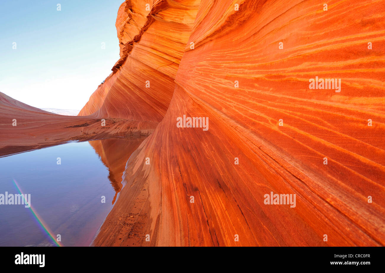 Vue détaillée des anneaux de Liesegang typique, rayures, l'onde formation de grès érodées, une vague de grès Navajo, Nord Banque D'Images