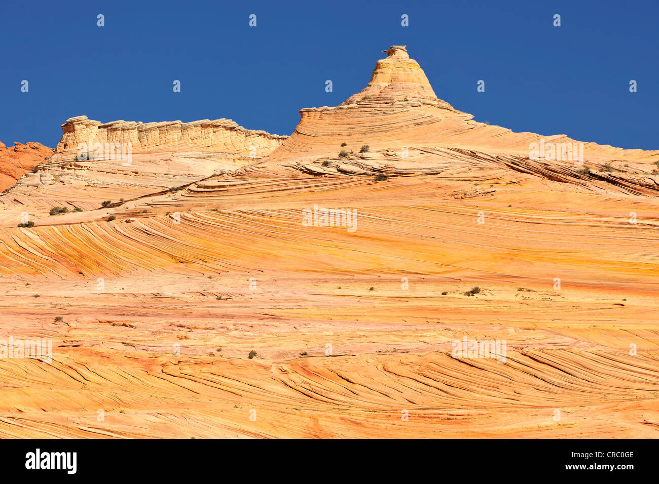 Le Sentinel rock formation, sur le chemin de la vague rock formation de grès, North Coyote Buttes, Paria Canyon, Vermilion Banque D'Images