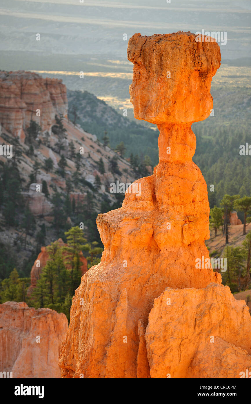 Thor's Hammer rock formation au lever du soleil, Sunset Point, Bryce Canyon National Park, Utah, United States of America, USA Banque D'Images