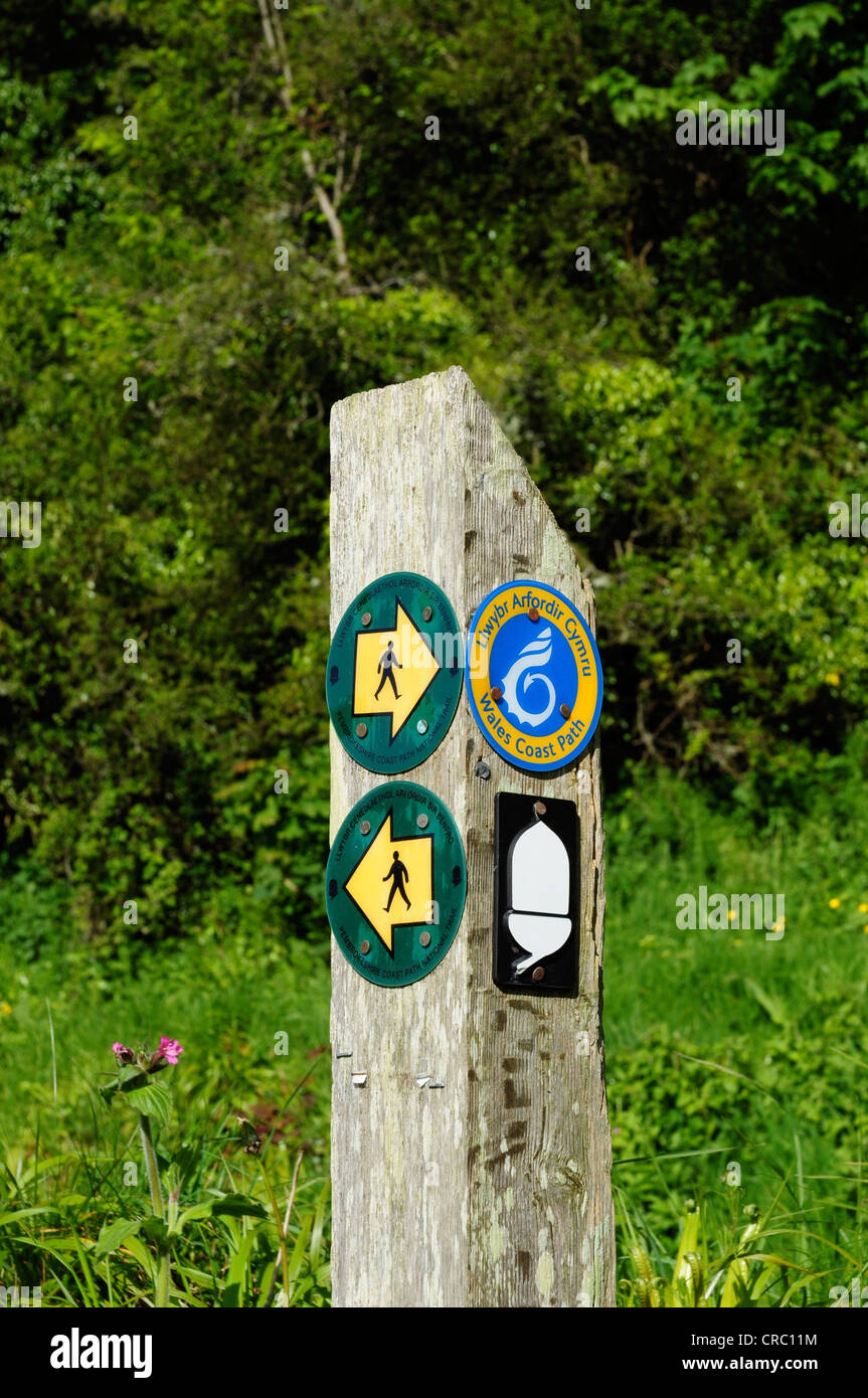 Chemin de la côte du Pays de Galles signe, Pembrokeshire, Pays de Galles, Royaume-Uni Banque D'Images