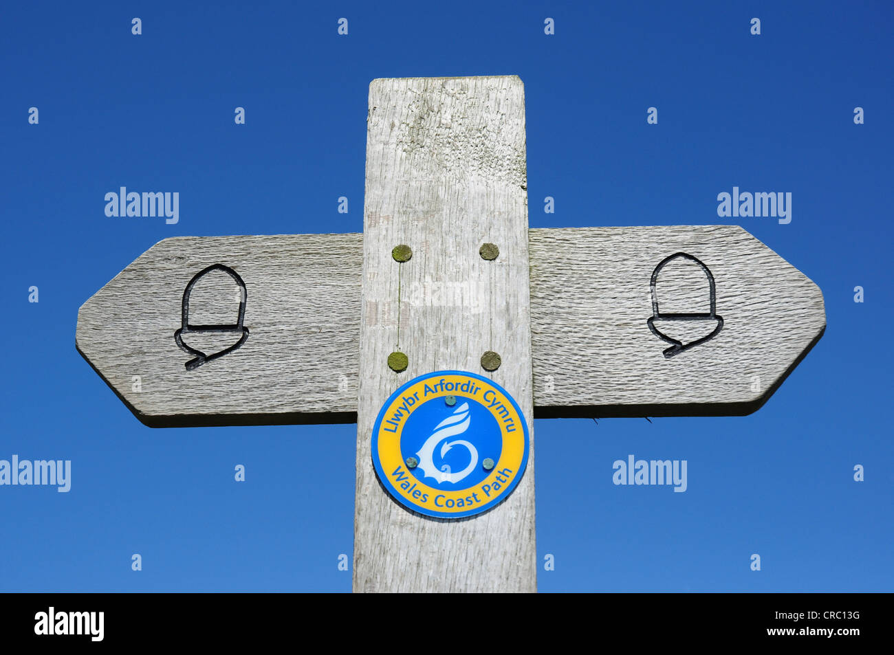 Chemin de la côte du Pays de Galles signe, Pembrokeshire, Pays de Galles, Royaume-Uni Banque D'Images