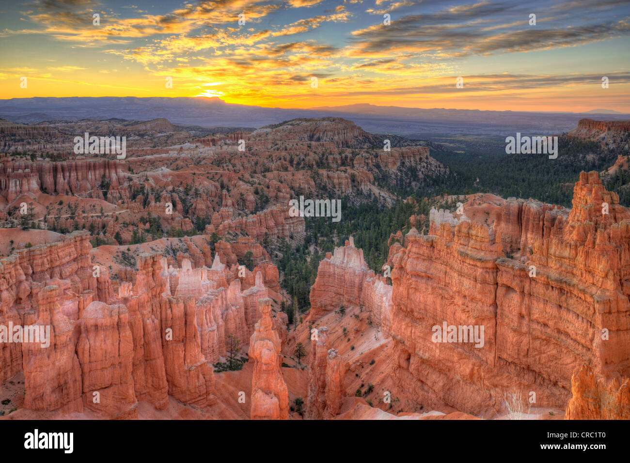 Des formations rocheuses et des cheminées, le Pape et le marteau de Thor, sunrise, Sunset Point, Bryce Canyon National Park, Utah Banque D'Images
