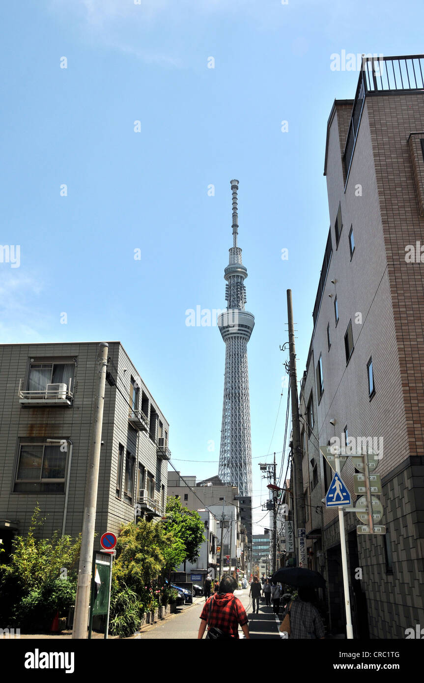 Sky tree Tokyo SkyTree Tower Tokyo Japon Banque D'Images