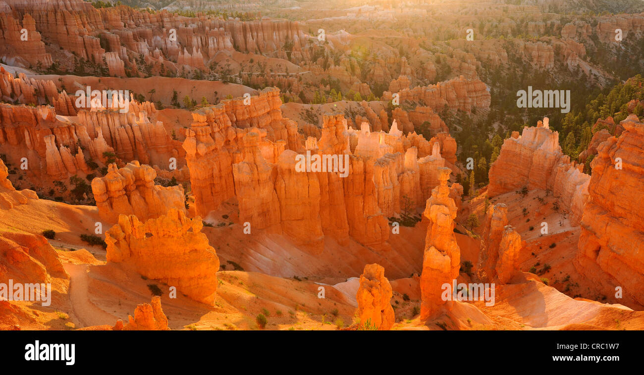 Des formations rocheuses et des cheminées, le Pape et le marteau de Thor, sunrise, Sunset Point, Bryce Canyon National Park, Utah Banque D'Images