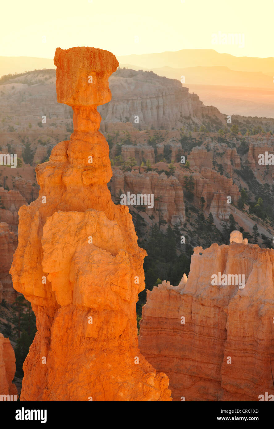 Rock formation, le marteau de Thor, sunrise, Sunset Point, Bryce Canyon National Park, Utah, United States of America, USA Banque D'Images