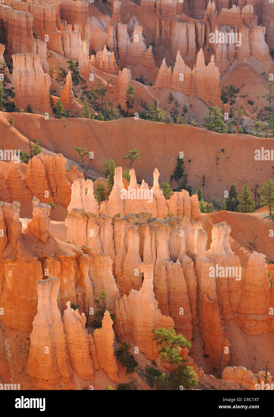 Rock formation, la reine Victoria, Queens Garden Trail, Sunset Point, Bryce Canyon National Park, Utah, United States of America Banque D'Images