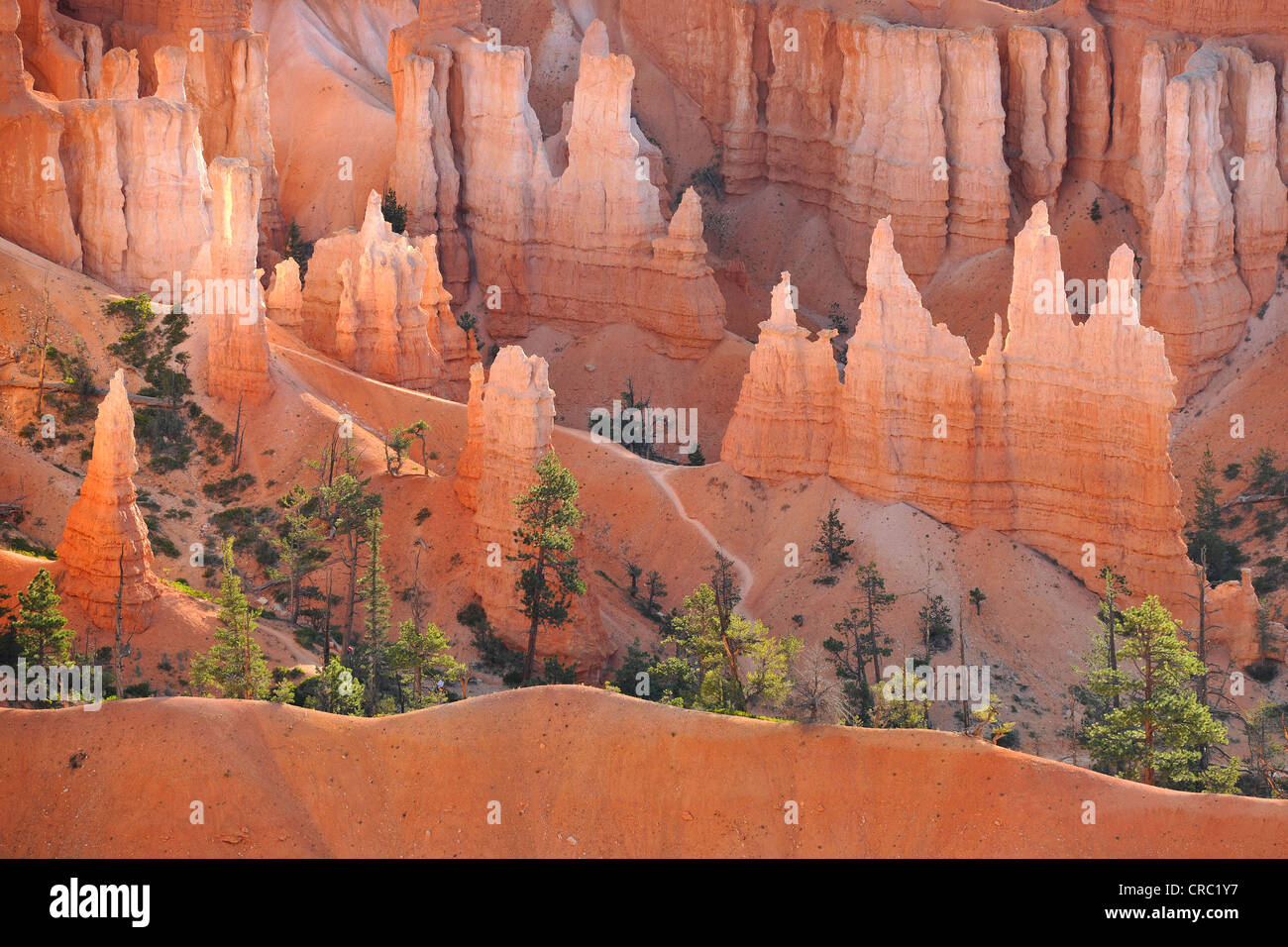 Rock formation, la reine Victoria, Queens Garden Trail, Sunset Point, Bryce Canyon National Park, Utah, United States of America Banque D'Images