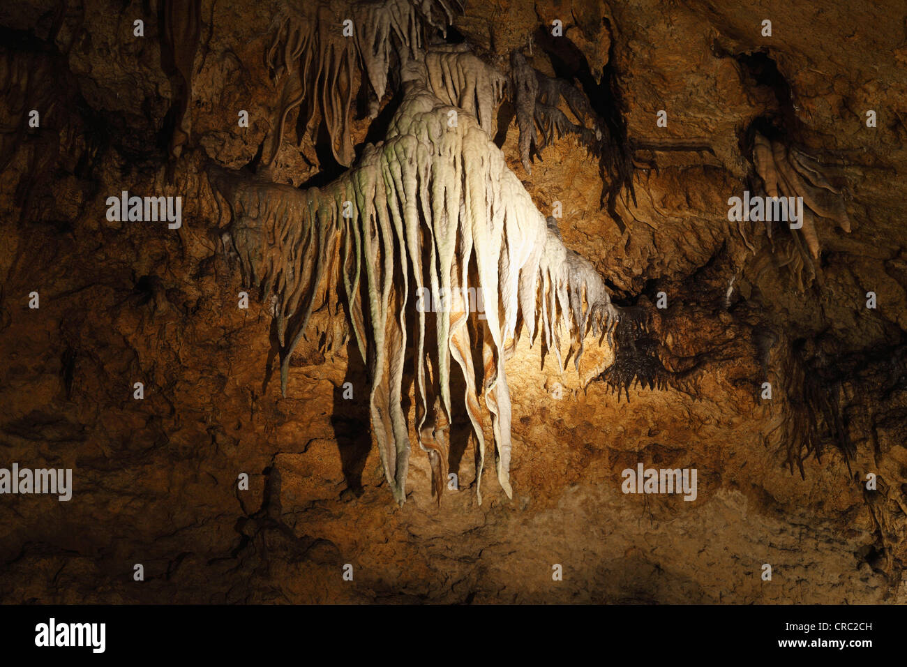 Grotte de stalactites, Sophienhoehle, Ahorntal vallée, petite Suisse, Haute-Franconie, Franconia, Bavaria, Germany, Europe Banque D'Images