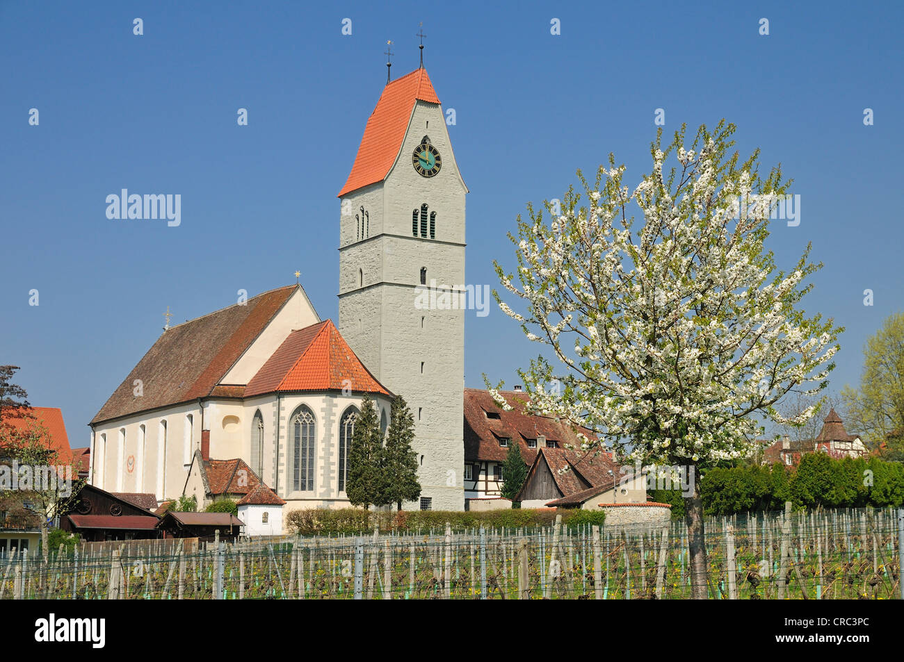 Saint Jean Baptiste, l'église catholique, Hagnau, sur le lac de Constance, Bade-Wurtemberg, Allemagne, Europe Banque D'Images