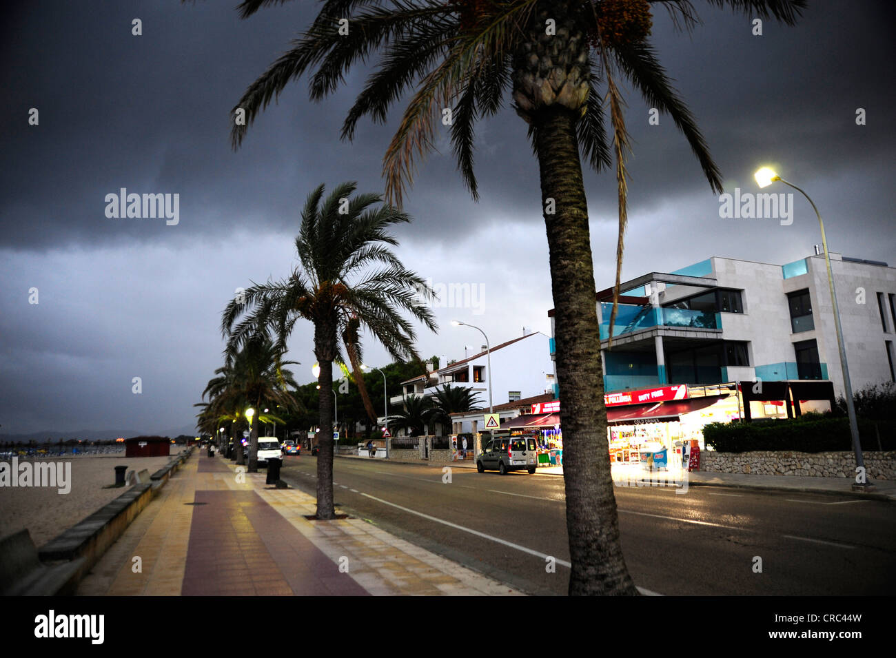 Promenade avec palmiers, ciel d'orage, Puerto de Pollensa, Pollensa, Mallorca, Majorque, Iles Baléares Banque D'Images