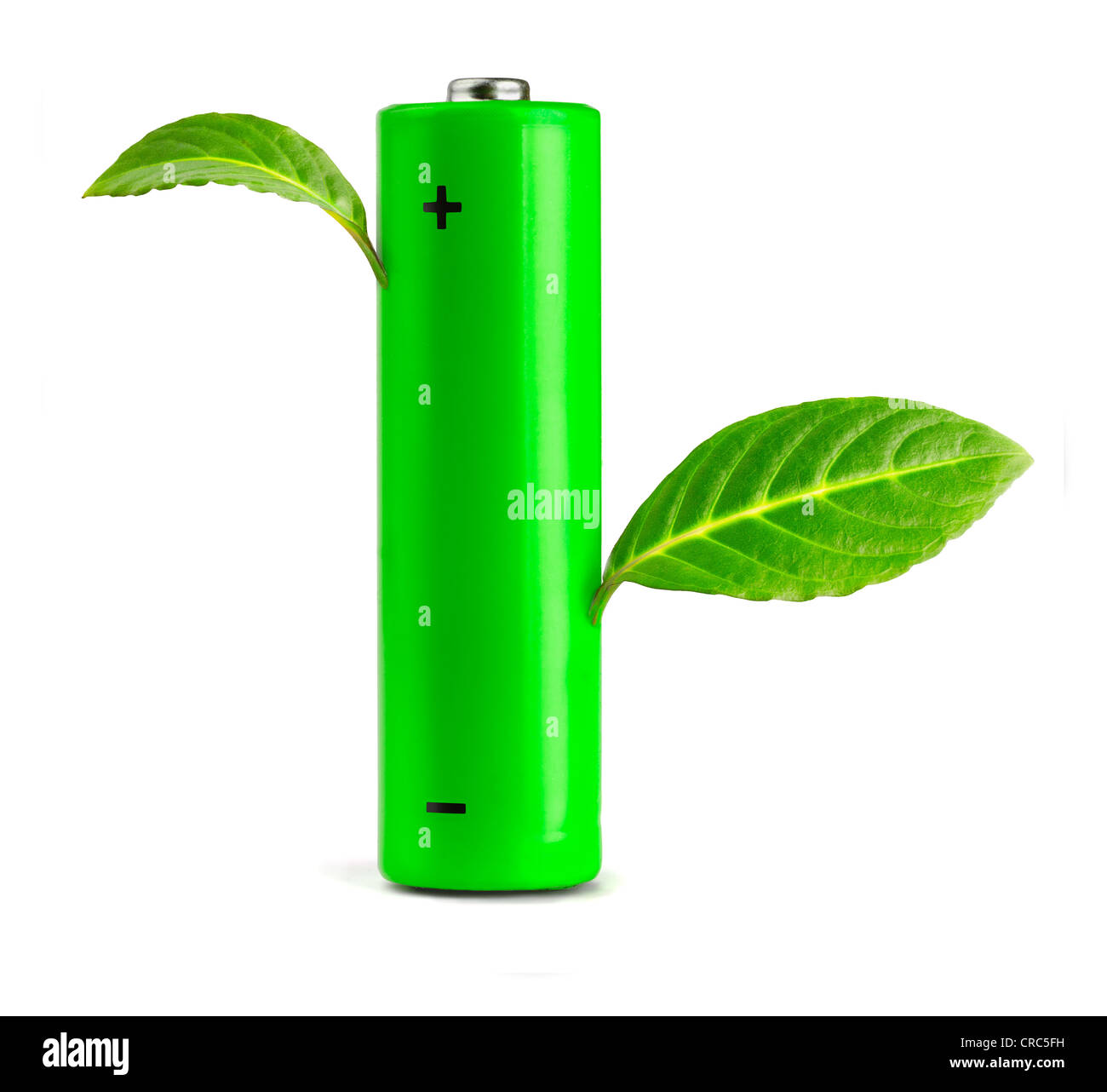Les feuilles vertes de plus en plus la batterie. Eco concept Banque D'Images