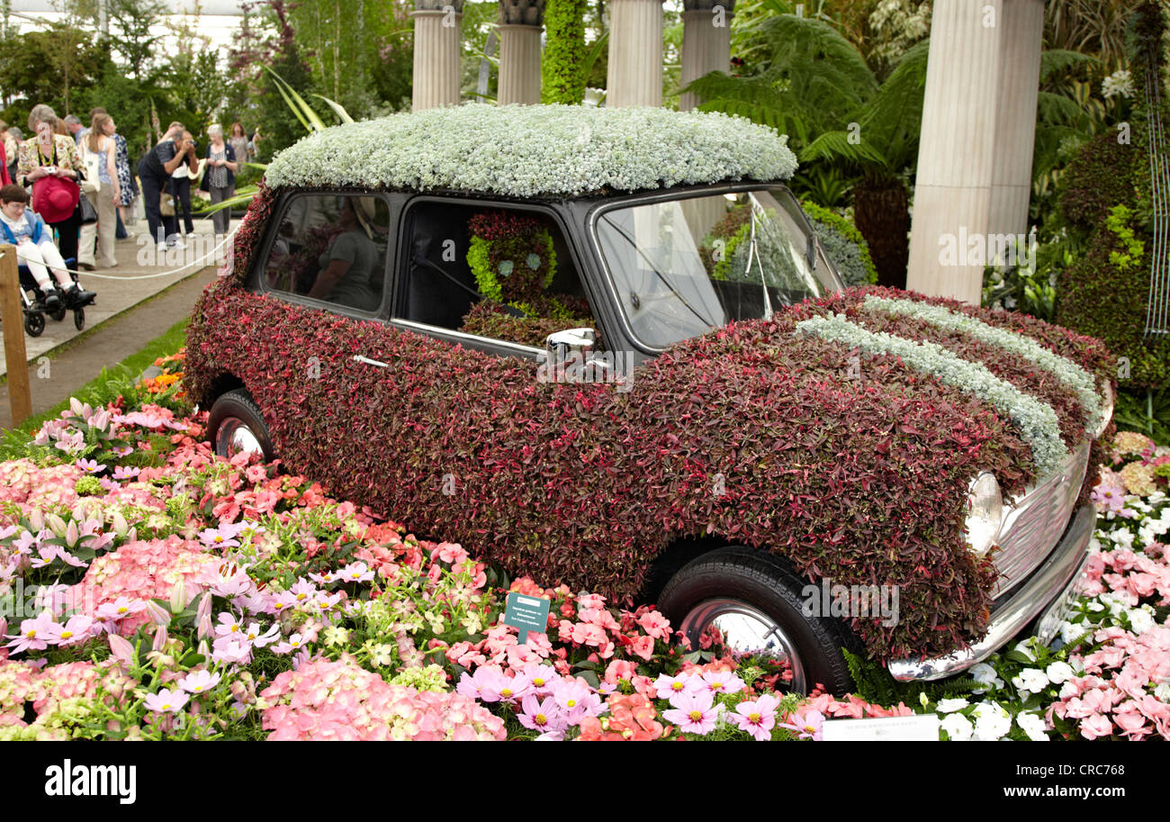 Mini fleurs au Chelsea Flower Show de Londres UK Banque D'Images