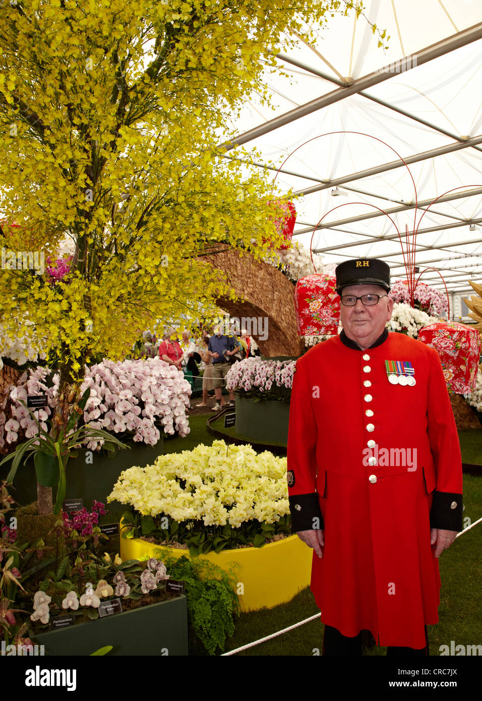 Chelsea retraités au Chelsea Flower Show de Londres UK Banque D'Images