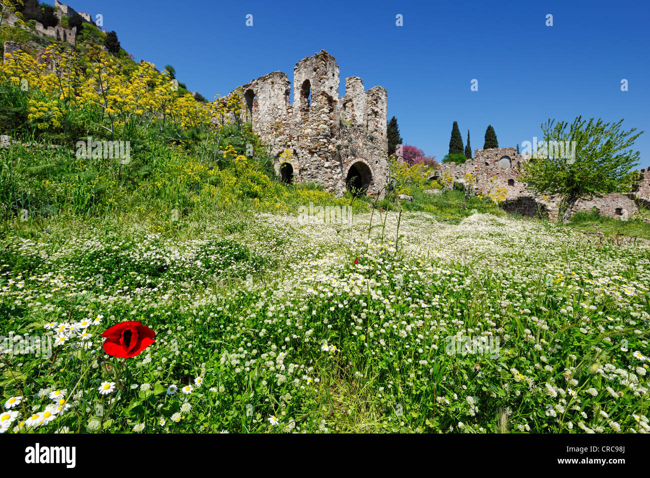 Le château byzantin de Mystras, Grèce ville Banque D'Images