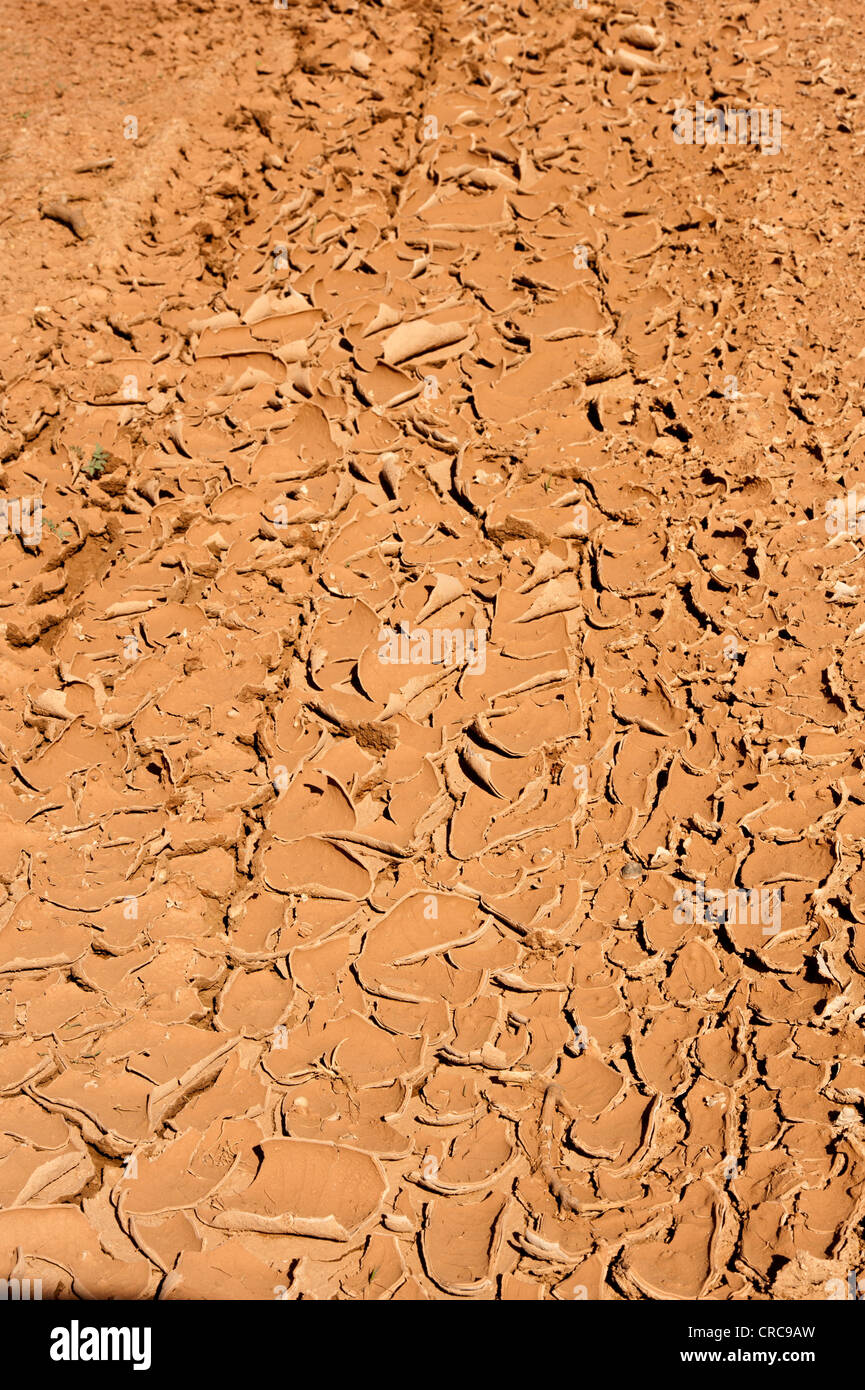 Sol fissuré à sec en raison de la sécheresse au Texas Banque D'Images