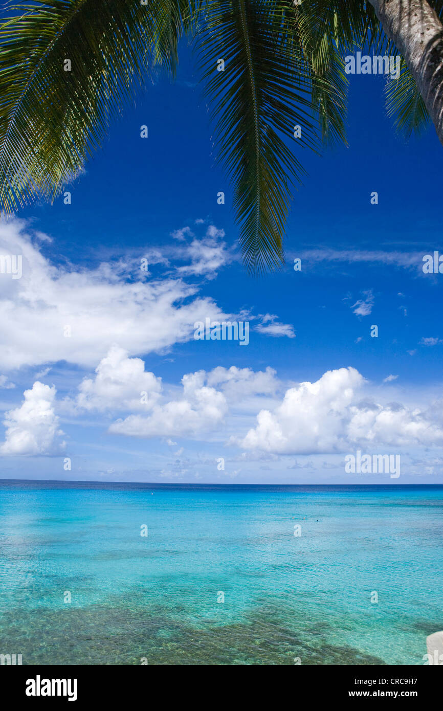 Plage de la Barbade Banque D'Images