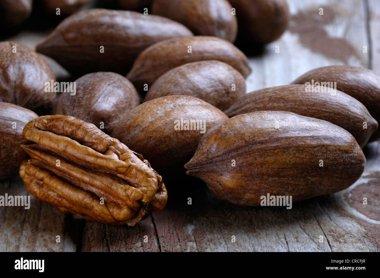 Pacanier (Carya illinoiensis, Carya), les noix de pécan couchée sur un bureau, l'un ouvert Banque D'Images