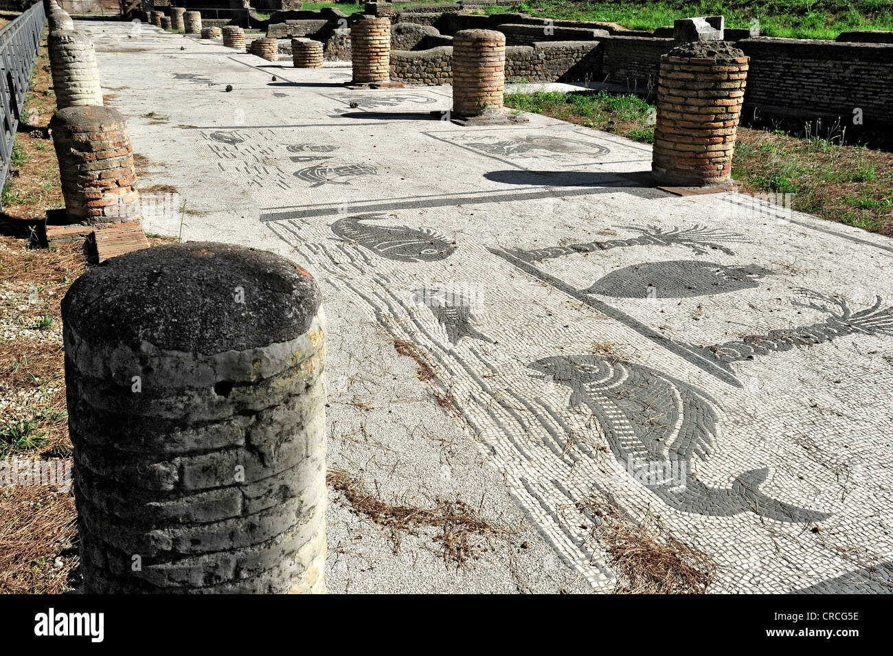 Sol de mosaïque en face de la rangée de boutiques dans la Piazzale delle Corporazioni, Carré des guildes ou Corporations Banque D'Images