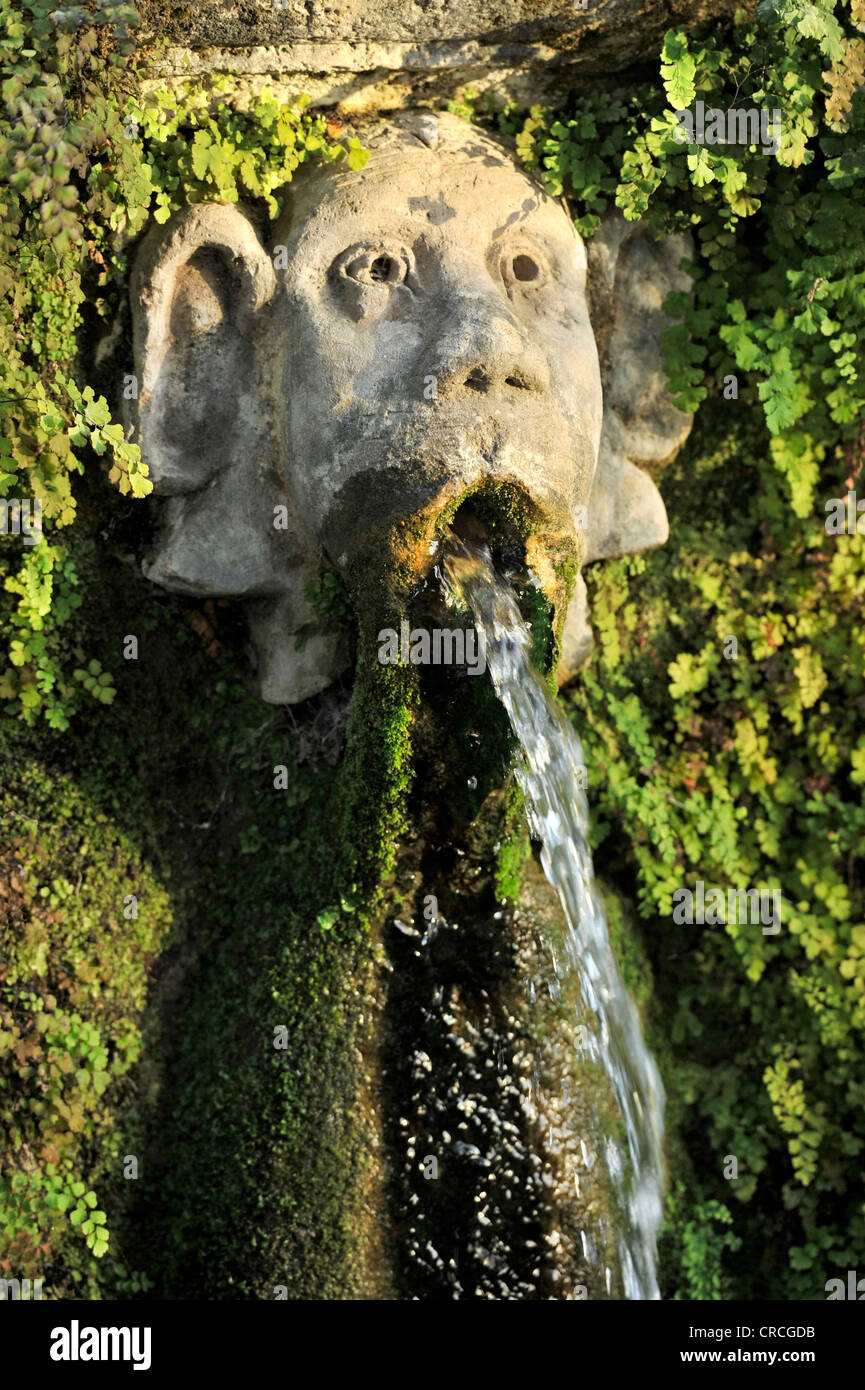 Gargoyle, Viale delle Cento Fontane ou ruelle des cent fontaines, jardin de la Villa d'Este, Site du patrimoine mondial de l'UNESCO Banque D'Images