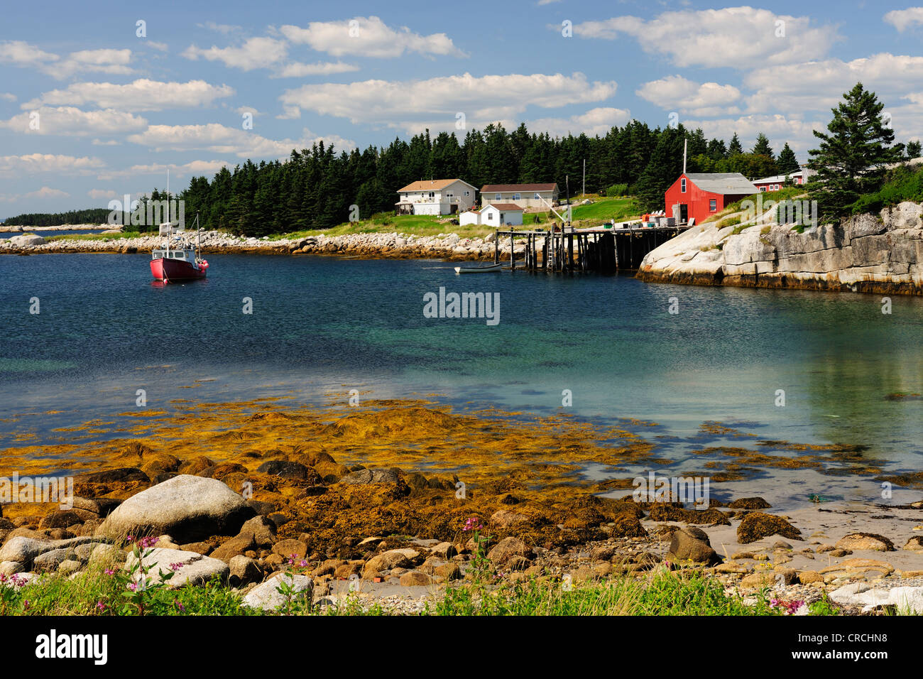 Côte atlantique dans le Margarets Bay, Nova Scotia, Canada Banque D'Images