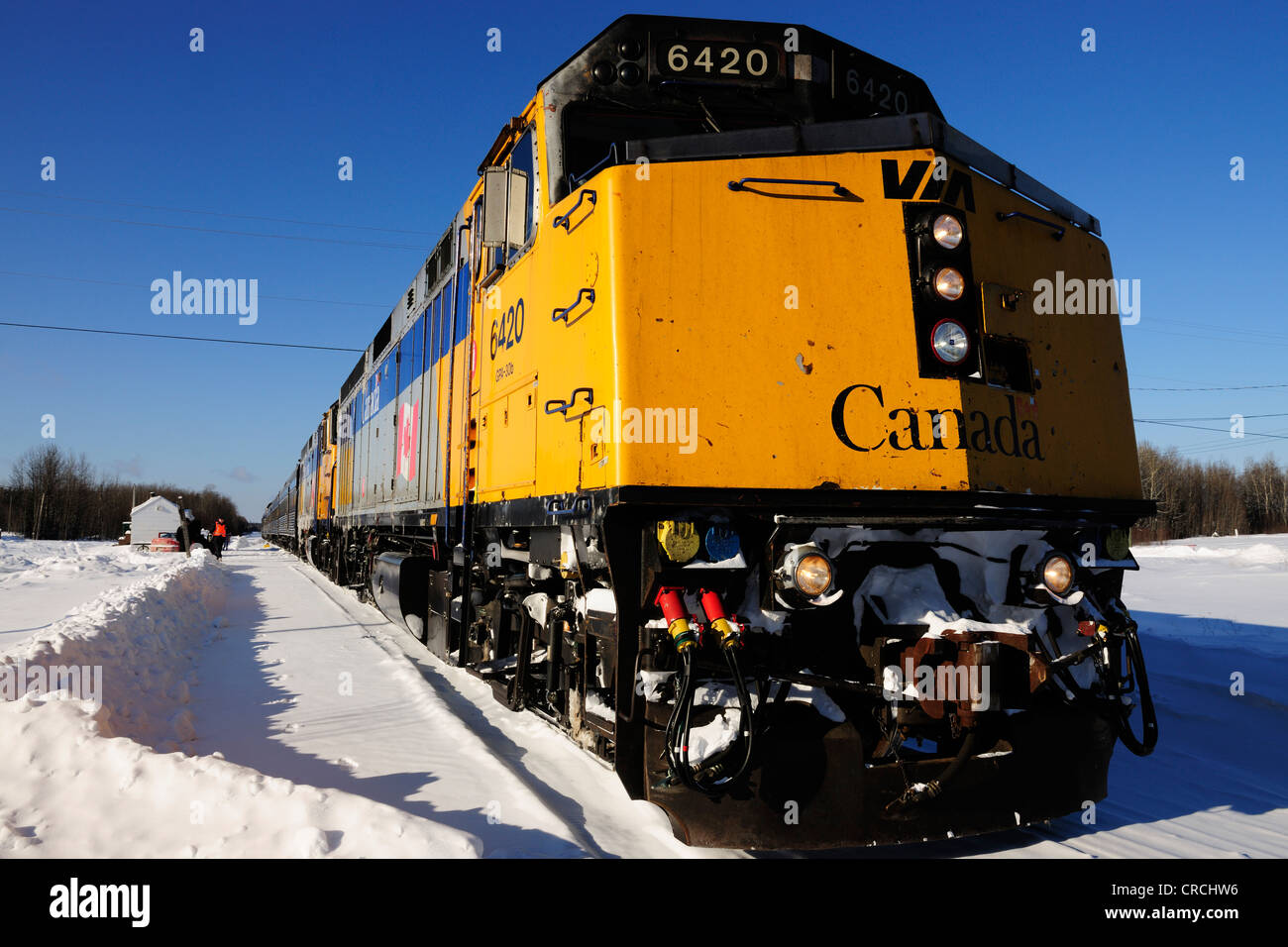 Train couvert de glace sur la ligne de chemin de fer entre Winnipeg et Churchill, Manitoba, Canada Banque D'Images