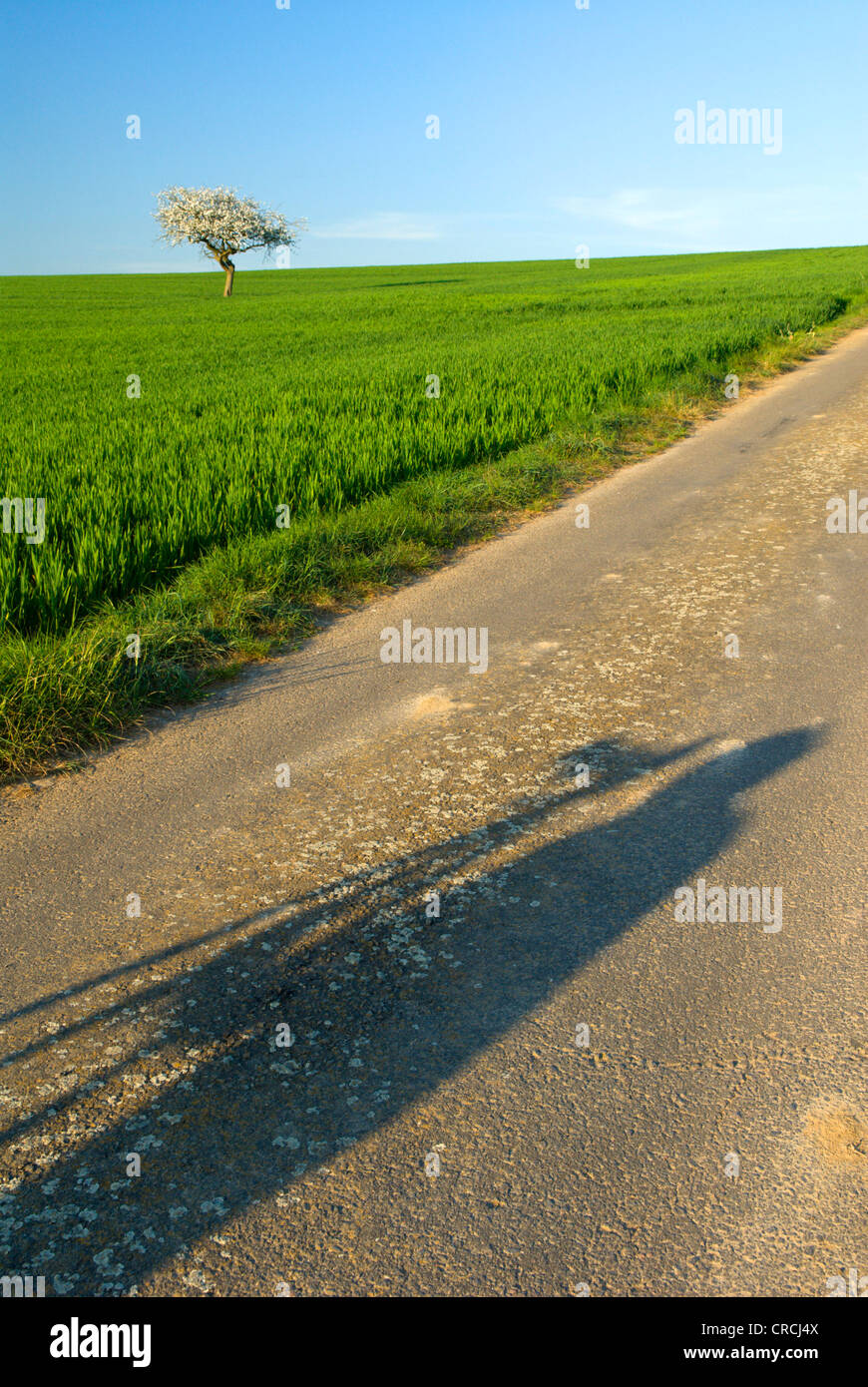 Ombre d'un photographe sur le chemin sur le terrain, l'Allemagne, la Sarre Banque D'Images