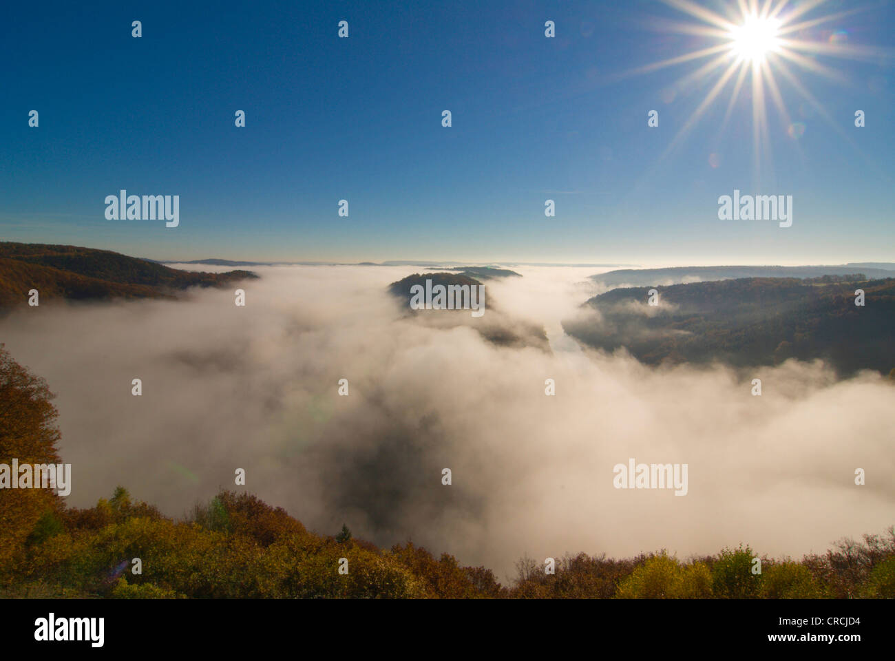 Matin de brume à la rivière méandre de la Sarre, Allemagne, Sarre, Orscholz Banque D'Images