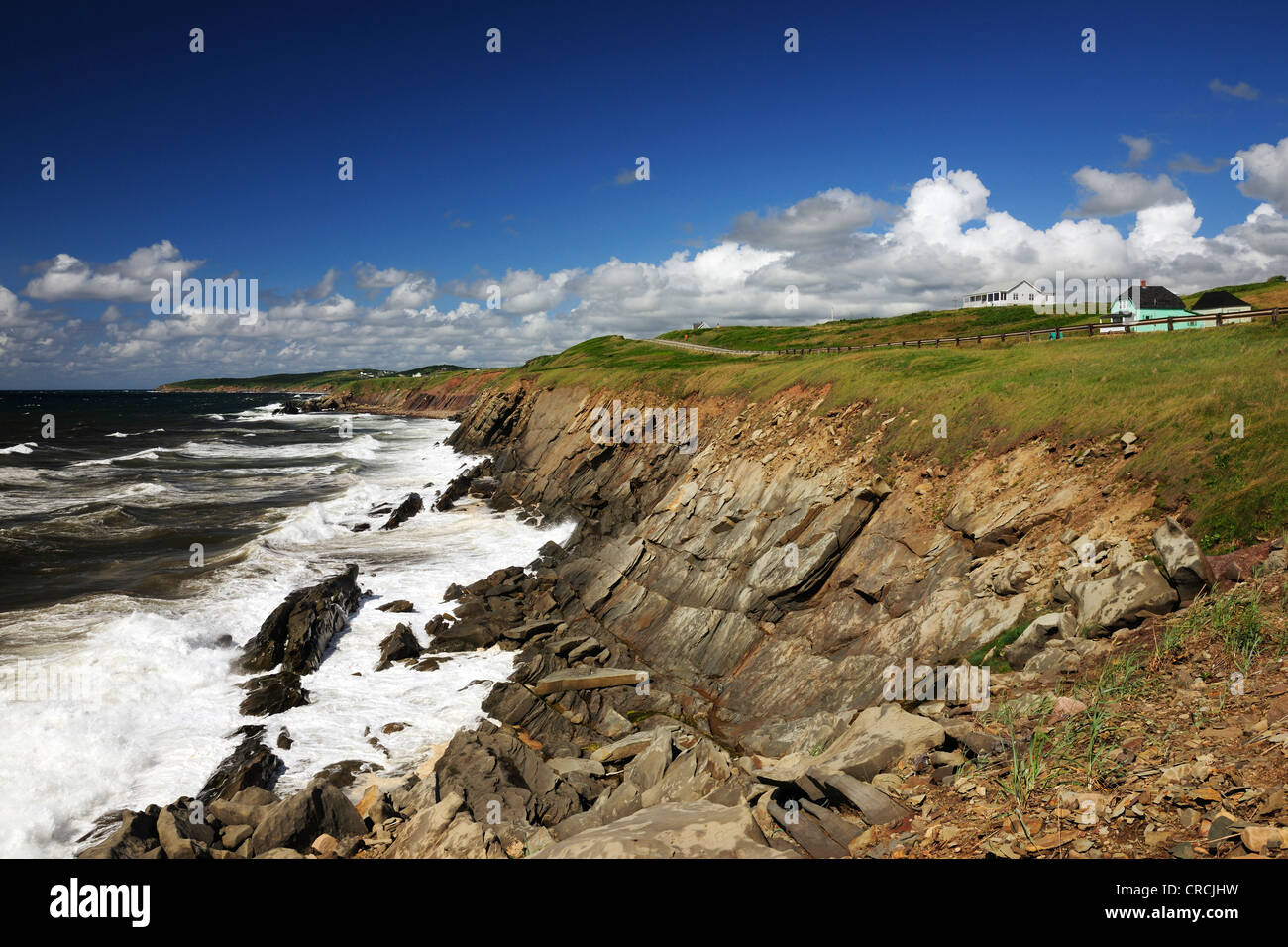 Rocky côte Atlantique à l'ouest de l'île du Cap-Breton, Nouvelle-Écosse, Canada, Amérique du Nord Banque D'Images