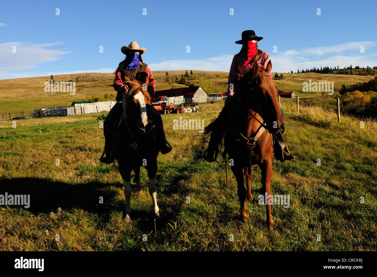 Deux cowgirls avec des mouchoirs sur leurs visages assis sur des chevaux, de la Saskatchewan, au Canada, en Amérique du Nord Banque D'Images