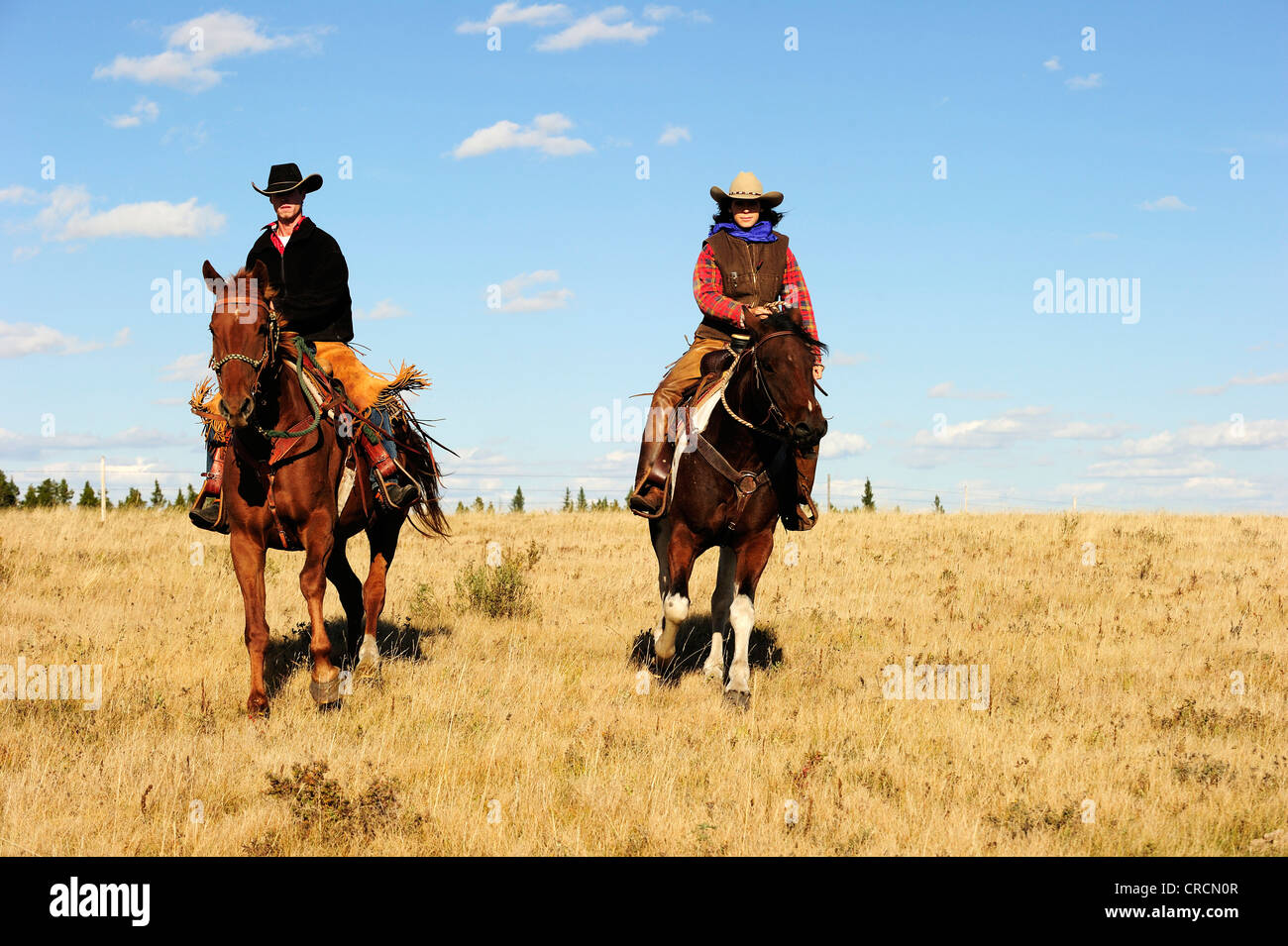 Cowboy et cowgirl équitation à travers la prairie, en Saskatchewan, au Canada, en Amérique du Nord Banque D'Images