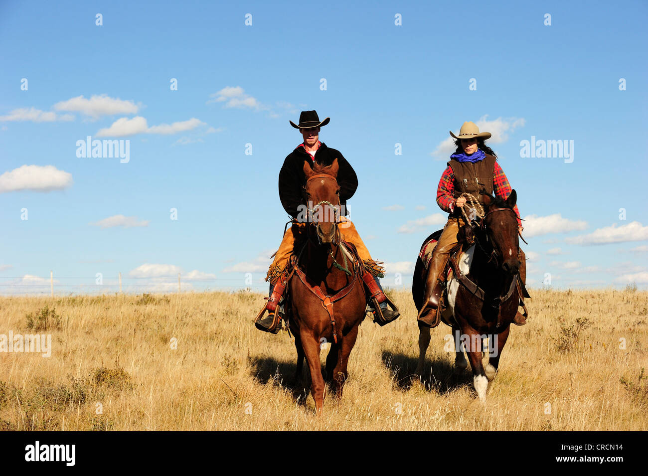 Cowboy et cowgirl équitation à travers la prairie, en Saskatchewan, au Canada, en Amérique du Nord Banque D'Images