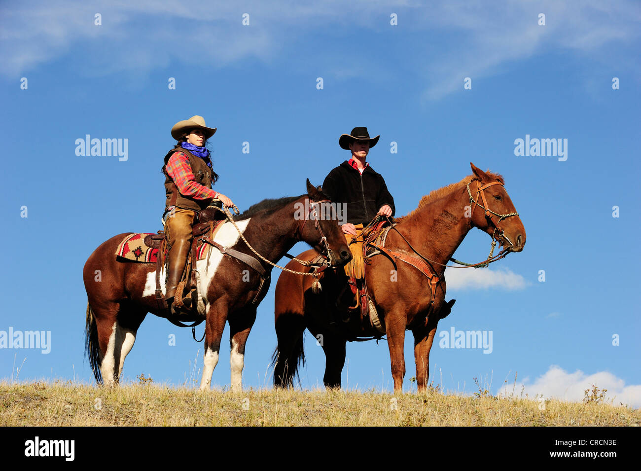 Cowboy et Cowgirl sur les chevaux à la recherche dans la distance, de la Saskatchewan, au Canada, en Amérique du Nord Banque D'Images