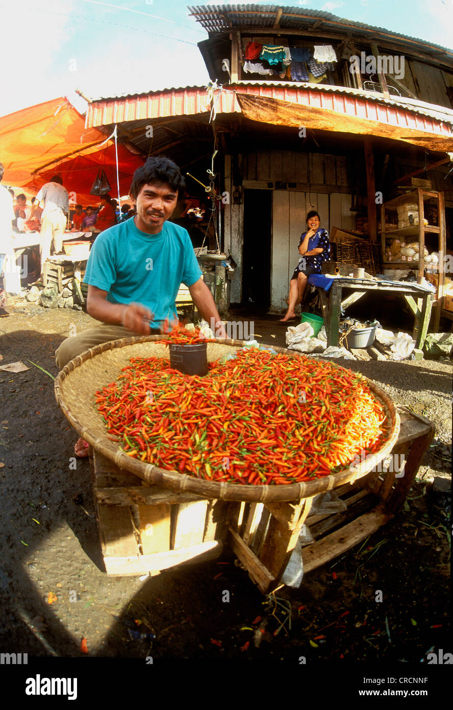 Marché le samedi et à la population locale d'émission dans le village de chili, l'Indonésie, Sulawesi Tomahon Banque D'Images