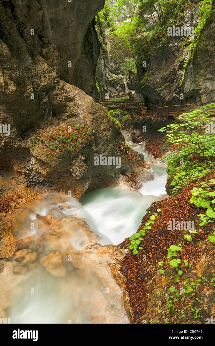 Dans le ruisseau gorge Wolfsklamm, Stans, Karwendel, Tyrol, Autriche, Europe Banque D'Images