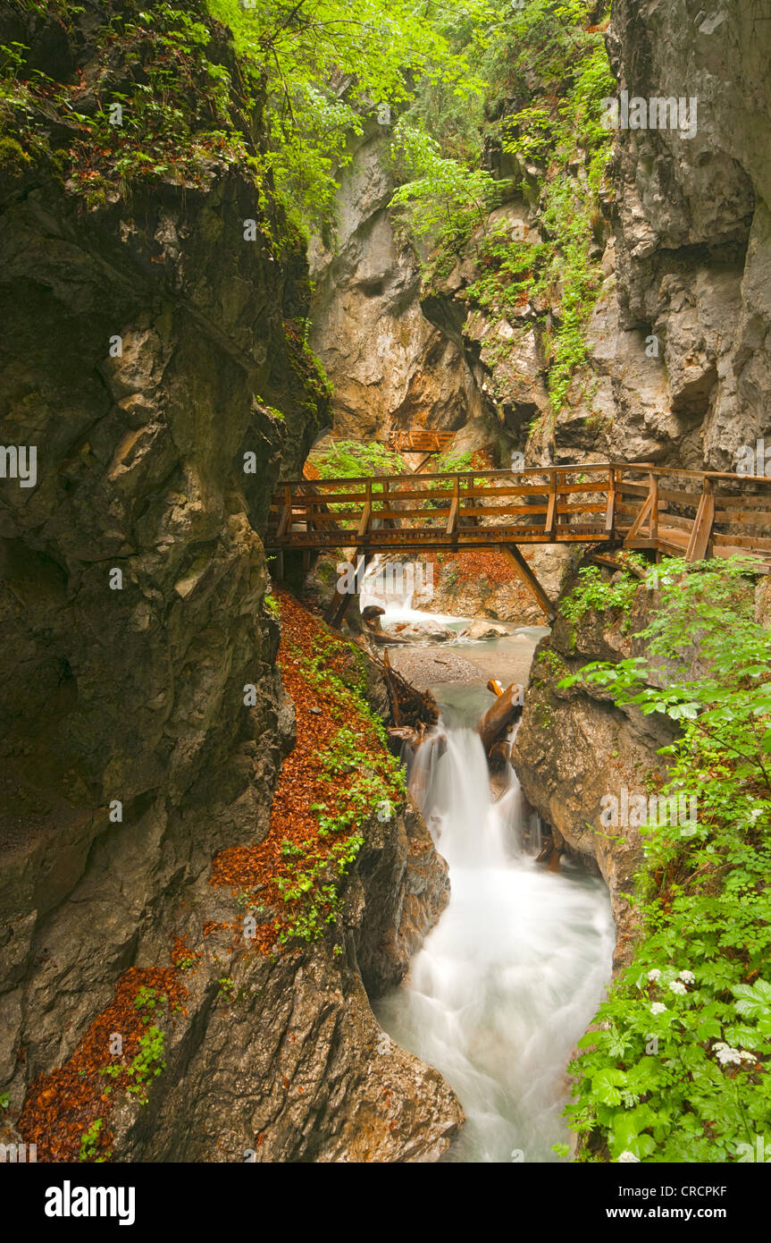 Dans le ruisseau gorge Wolfsklamm, Stans, Karwendel, Tyrol, Autriche, Europe Banque D'Images