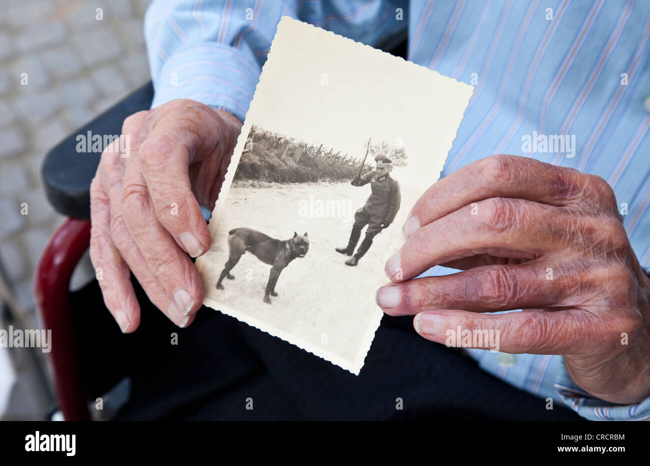 Soldat de la Wehrmacht allemande avec chien sur une vieille photo, old man's hand holding a la photographie noir et blanc, une maison de soins infirmiers Banque D'Images
