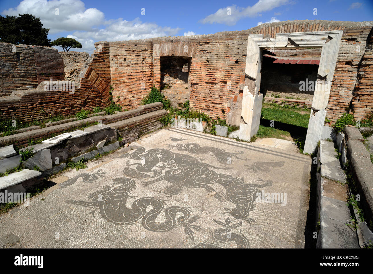 Italie, Rome, Ostia Antica, terme di Buticosus, mosaïques de thermes Banque D'Images