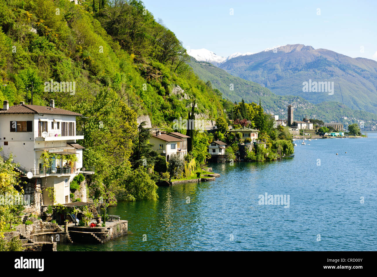 Destination populaire pour les visiteurs anglais et italien en été,Brissago,frontière suisse, le Lac Majeur, les lacs italiens, Italie Banque D'Images