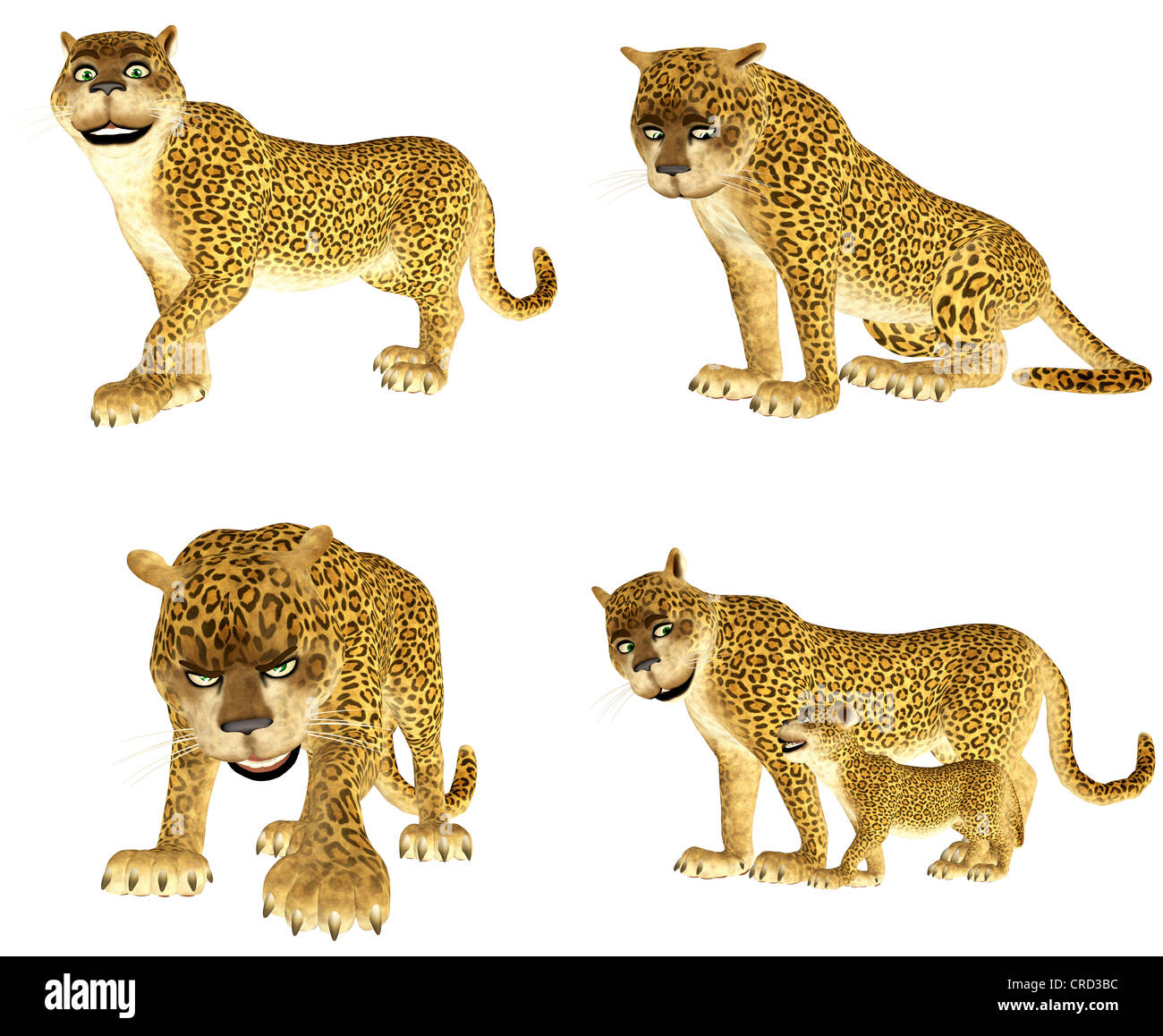 Illustration d'un pack de quatre (4) léopard avec différentes poses et expressions isolé sur fond blanc Banque D'Images