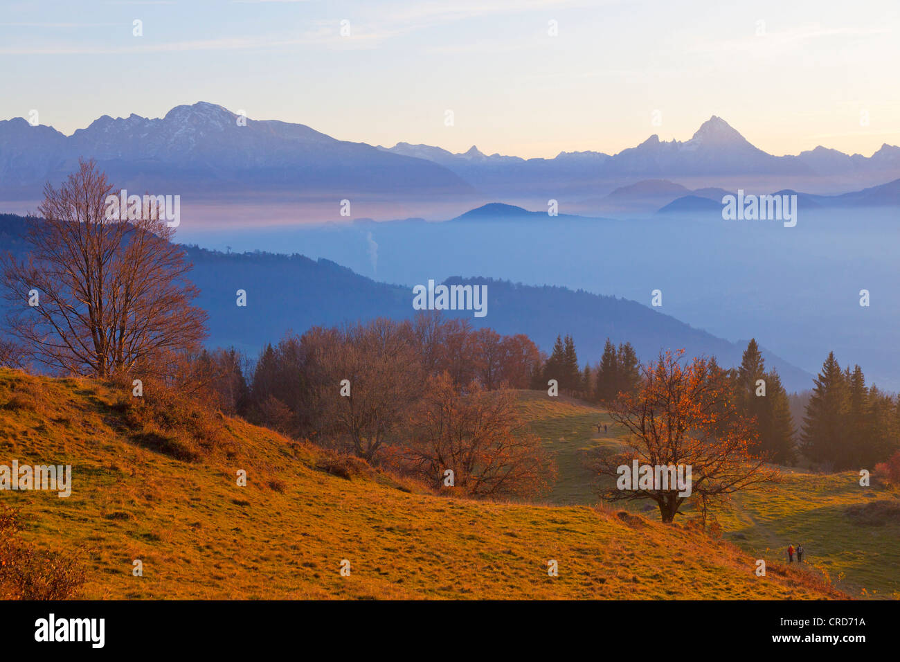 Coucher du soleil à Untersberg, Salzachtal Watzmann et à l'arrière, Salzburger Land, Autriche, Europe Banque D'Images