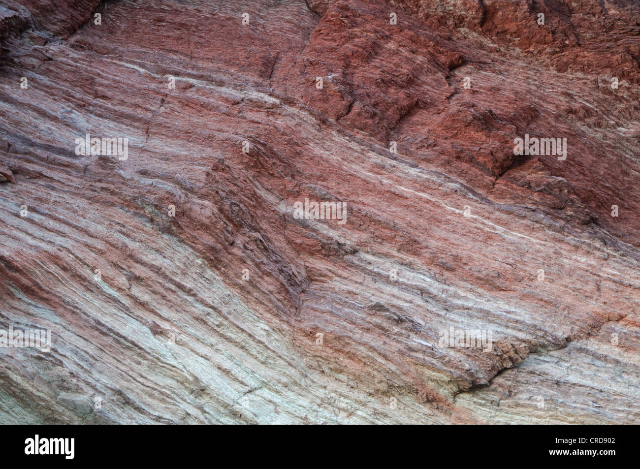 Rock stratifié sur une falaise face à Cornwall en Angleterre Banque D'Images