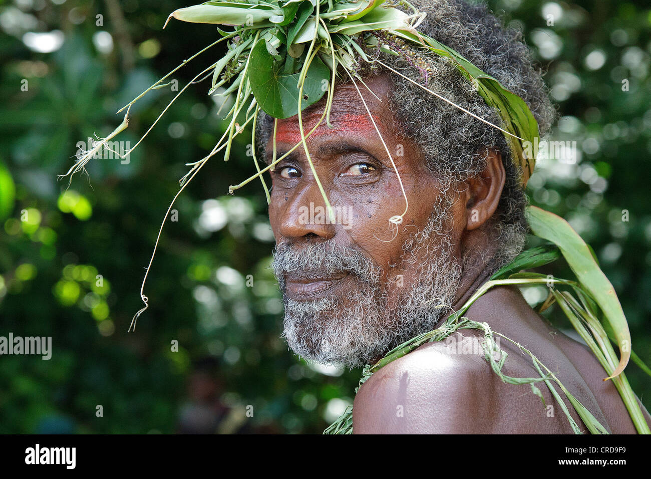L'homme natif de l'Île, Nissan, îles vertes, la Papouasie-Nouvelle-Guinée, de l'Australasie, Océanie Banque D'Images