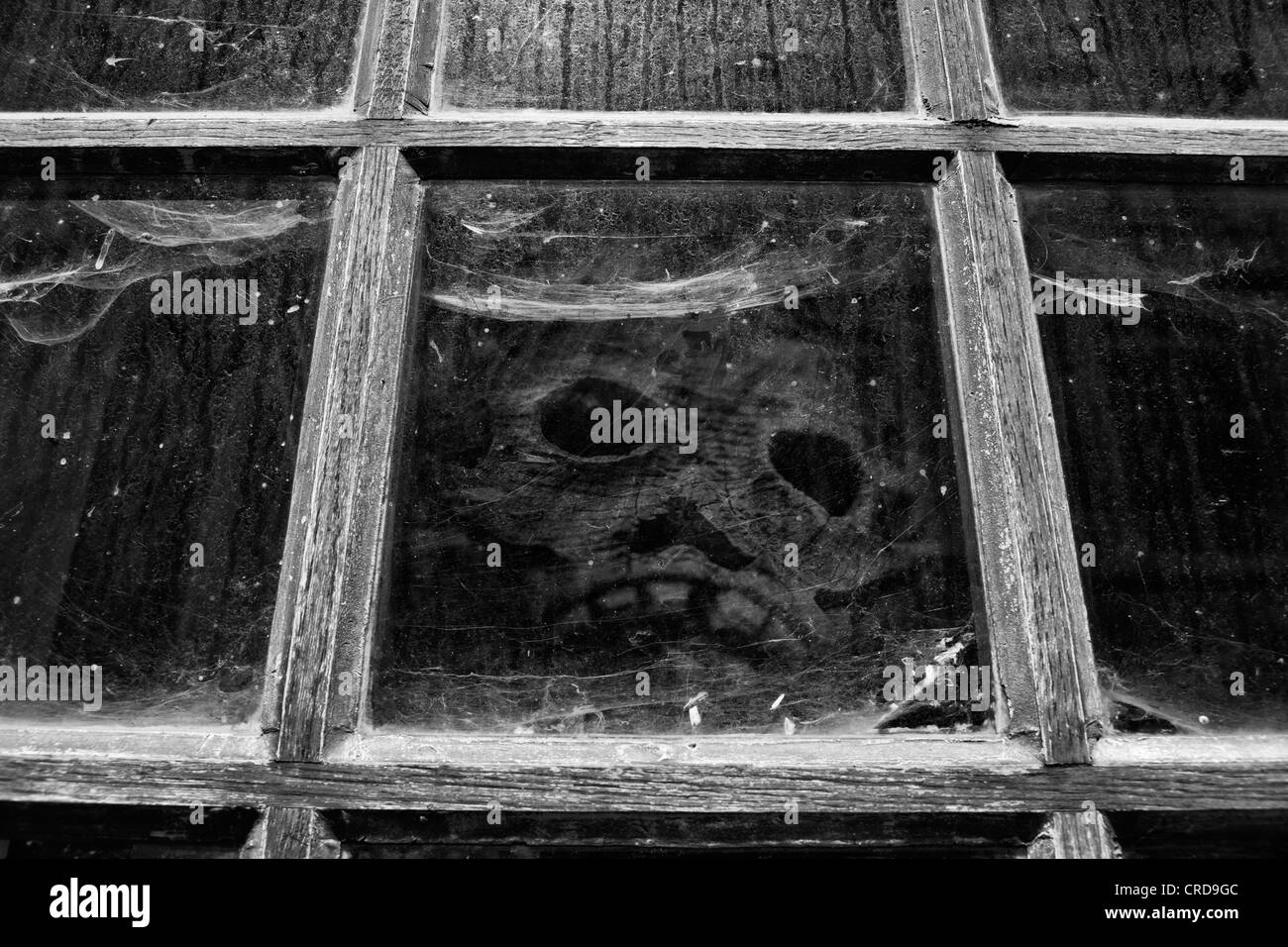Digital composite de l'ancienne fenêtre avec d'araignée et la Sculpture crâne Banque D'Images