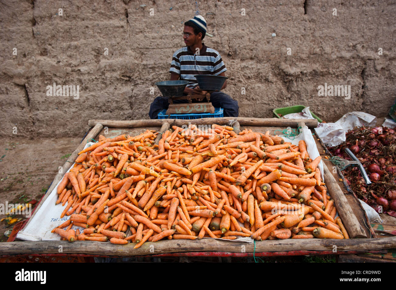 Vendeur de carottes , Rissani, Maroc Banque D'Images