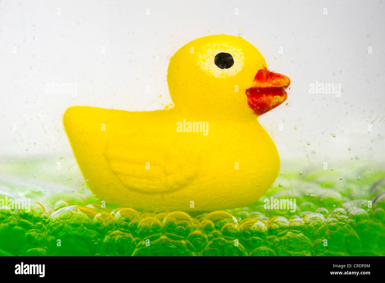 Canard en caoutchouc Jaune sur vert bulles d'huile Banque D'Images