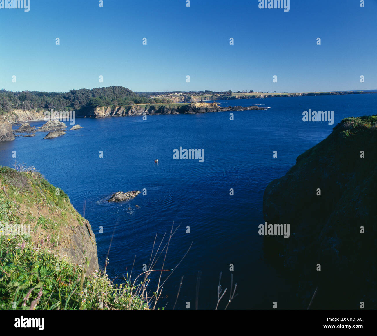 Les promontoires DE LA CÔTE NORD DE LA CALIFORNIE, LE RUSSE GULCH STATE PARK, CALIFORNIE (AU SUD DE FORT BRAGG) Banque D'Images