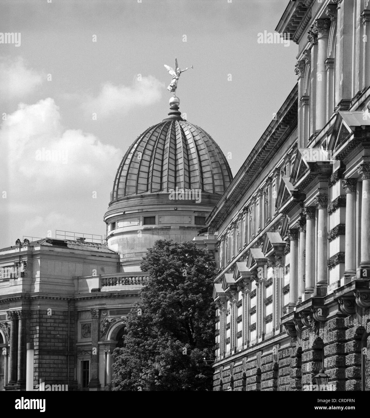 Ce qu'on appelle la "presse-citron", coupole de l'Académie des beaux-arts de Dresde, Saxe, Allemagne, Europe Banque D'Images